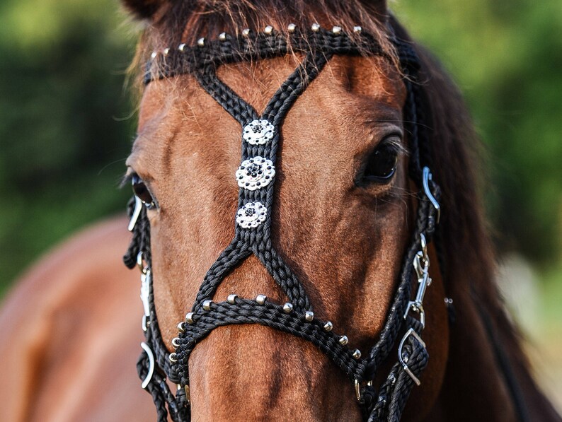 Stunning Hand Braided HalterBridle Combo with BLING Conchos Etsy