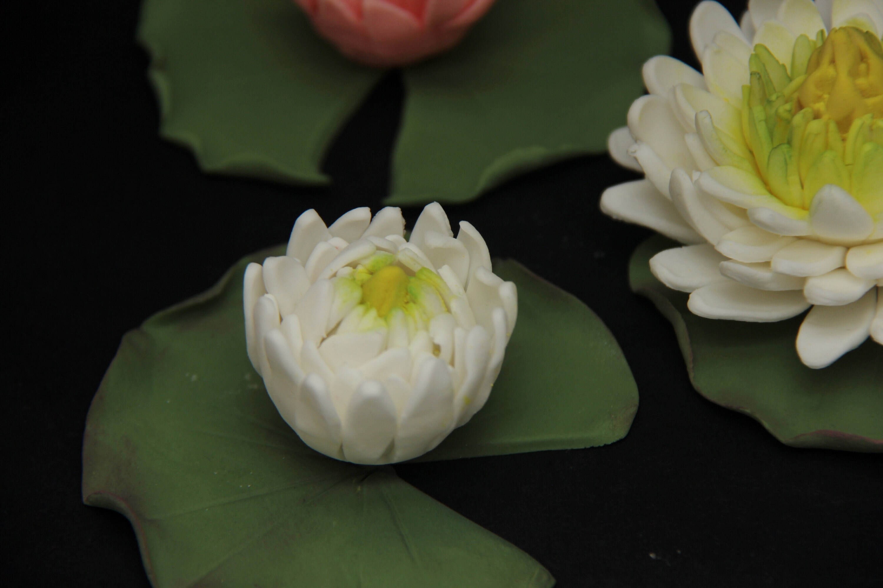 Water lily flowers edible custom made. gumpaste flowers. Etsy