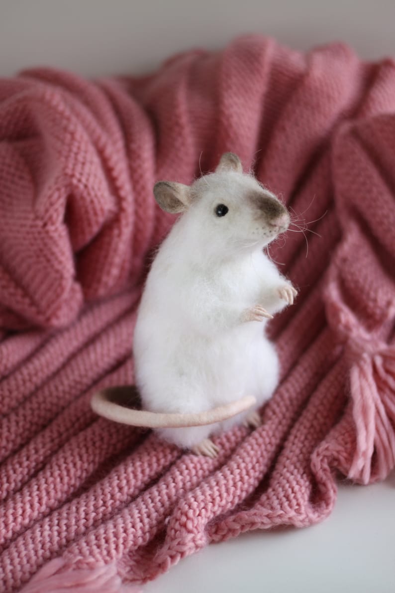 Available for custom order. Rat.Needle felt realistic animal