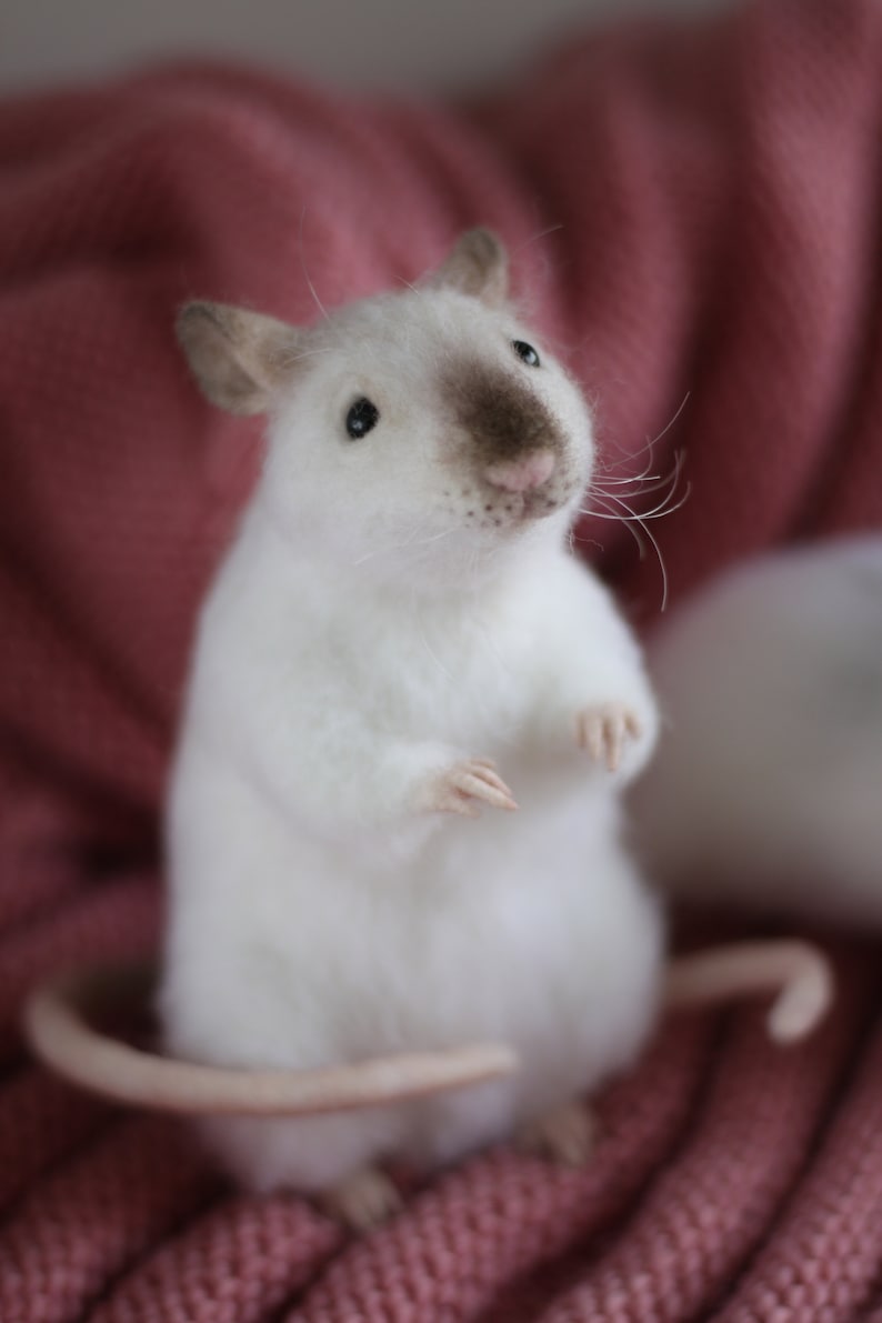 Available for custom order. Rat.Needle felt realistic animal