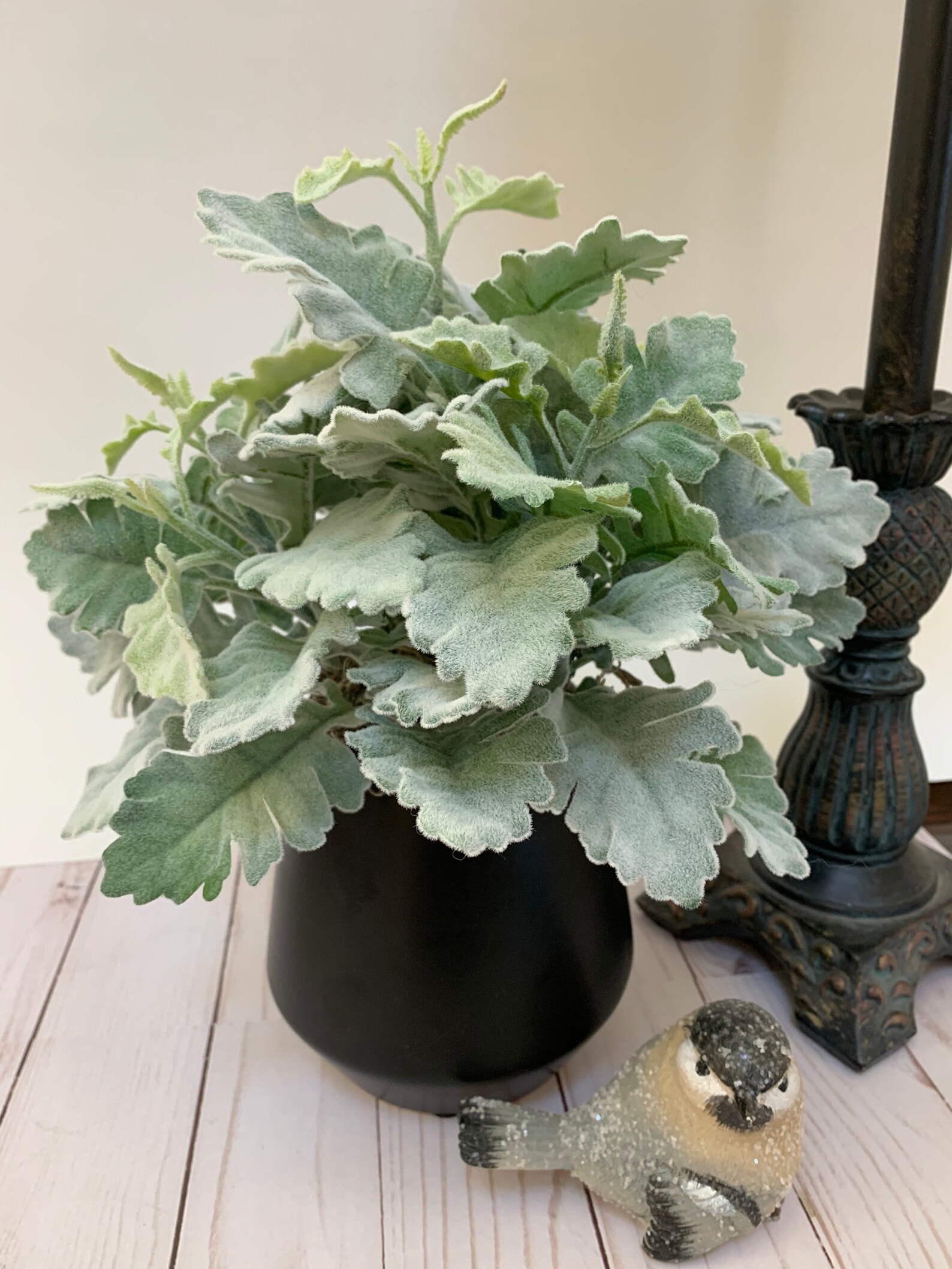 Greenery Dusty Miller Arrangement Medium Size Texture Etsy