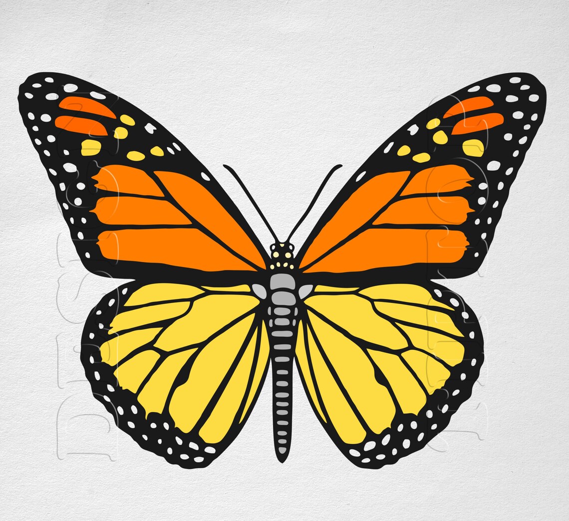 Free Free Monarch Butterfly Svg File 30 SVG PNG EPS DXF File