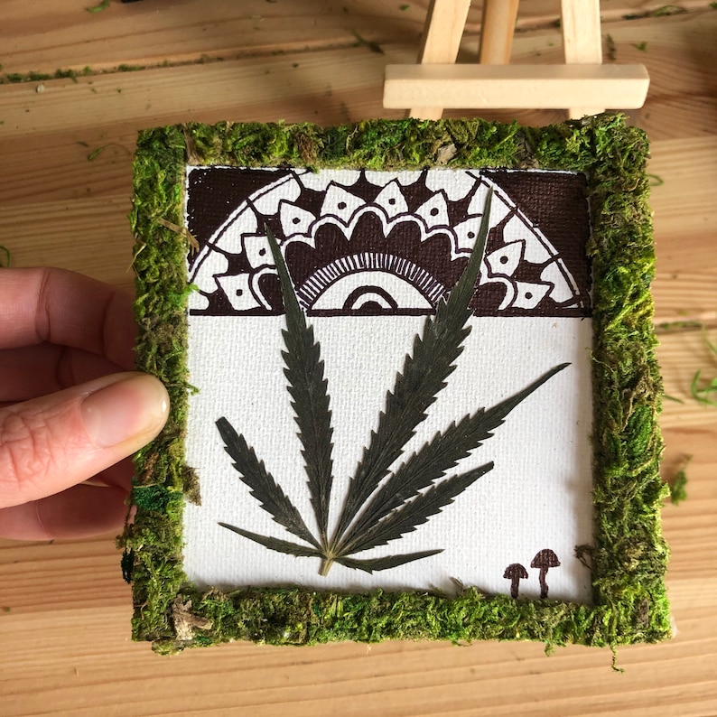 Download Real Weed Cannabis Marijuana Ganja Leaf Mandala Preserved Moss Mushroom Canvas Artemis Mixed Media Collage Art Collectibles