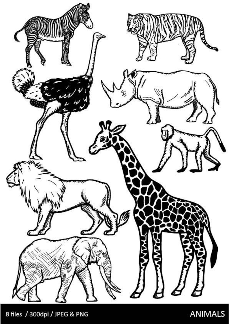 Black And White Animals Clip art Jungle Animals Safari | Etsy