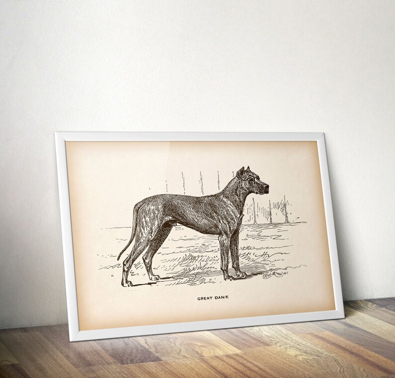 Dog print vintage Printable art Animal print Dog art print Etsy