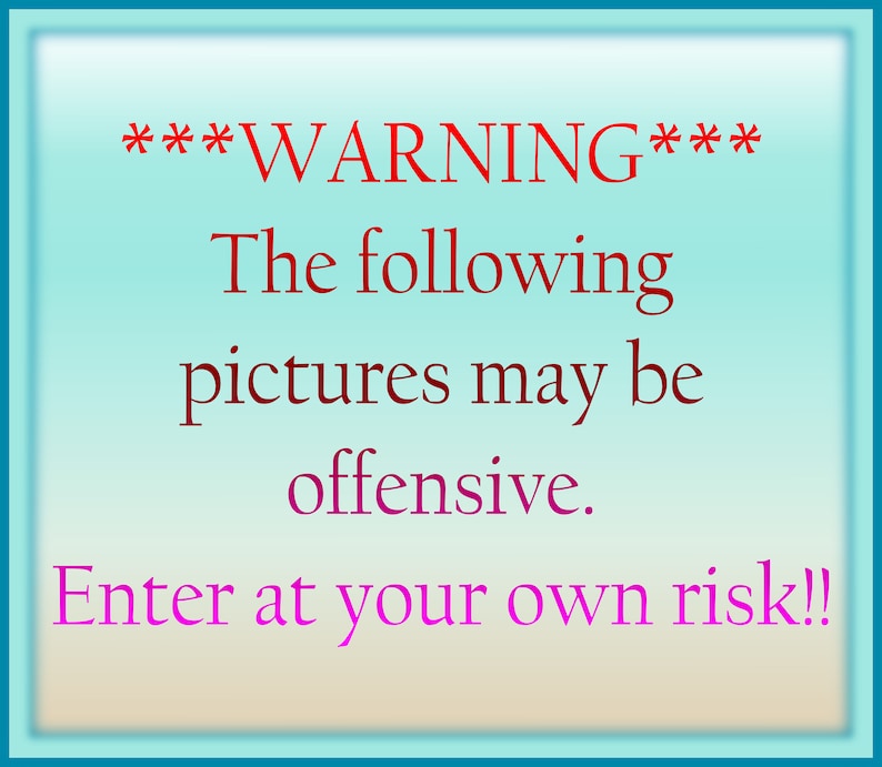 OFFENSIVE Cuss Swear Word Mandala Zentangle SVG Files for | Etsy