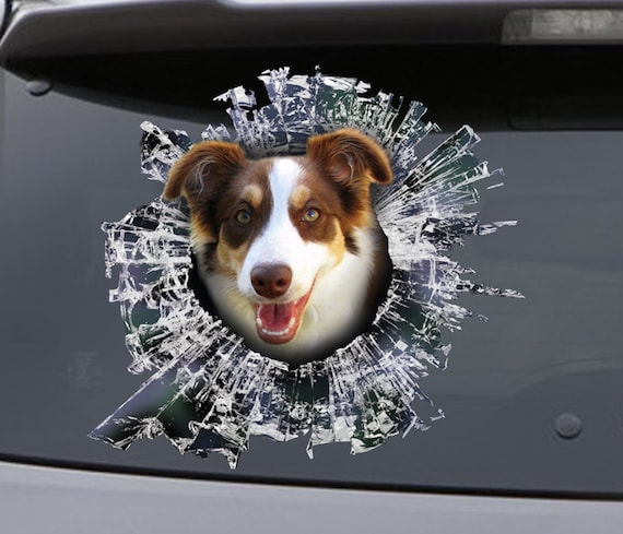 English Border Collie Clear Vinyl Decal Sticker for Window Scottish Sheep Dog Sign Art Print
