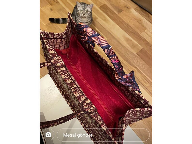 Dior Book Tote only bag organizer bag organizer quality Etsy