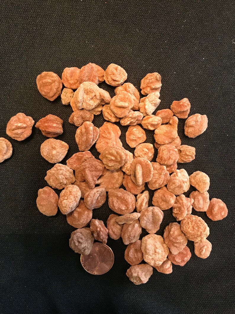 Small sized barite rose rocks from Oklahoma half pound lot | Etsy