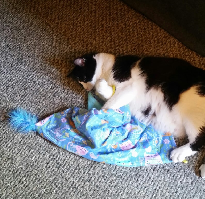 play mat for cats