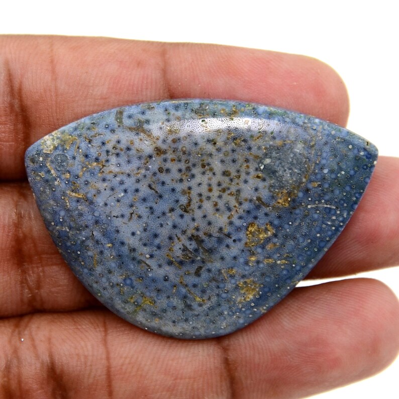 66.25 Cts Extremely Rare Blue Coral Loose Cabochon Gemstone Etsy