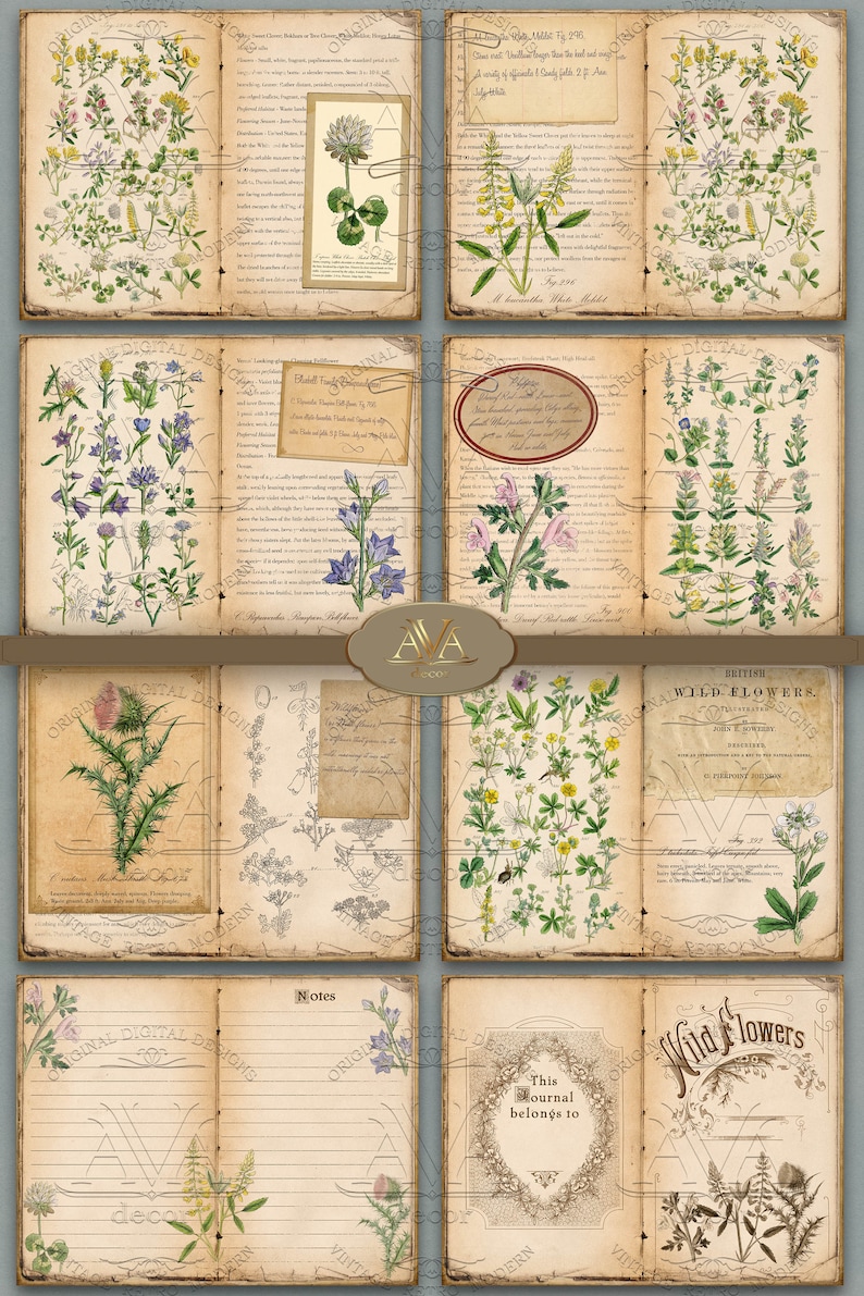 Narwhal family adult coloring book page whale unicorn