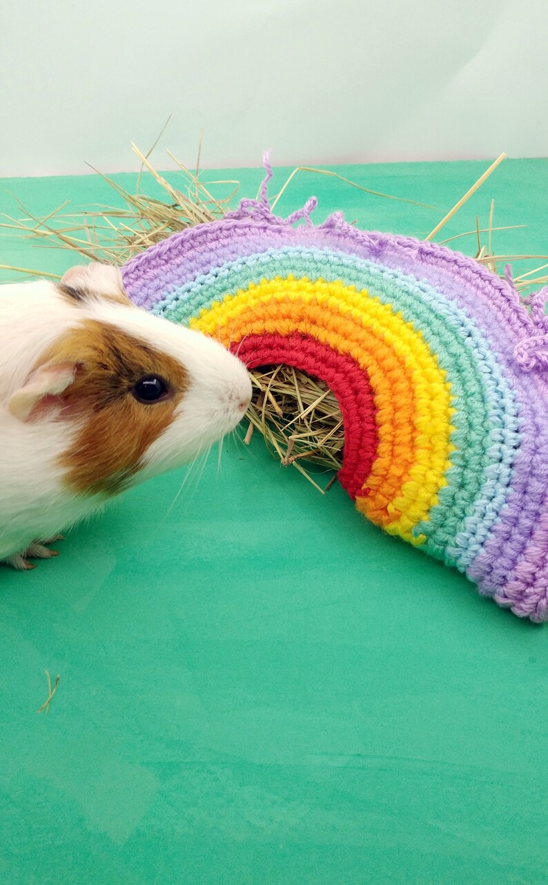 Guinea pig rainbow hay bag. Small pet hay feeder. Guinea pig Etsy