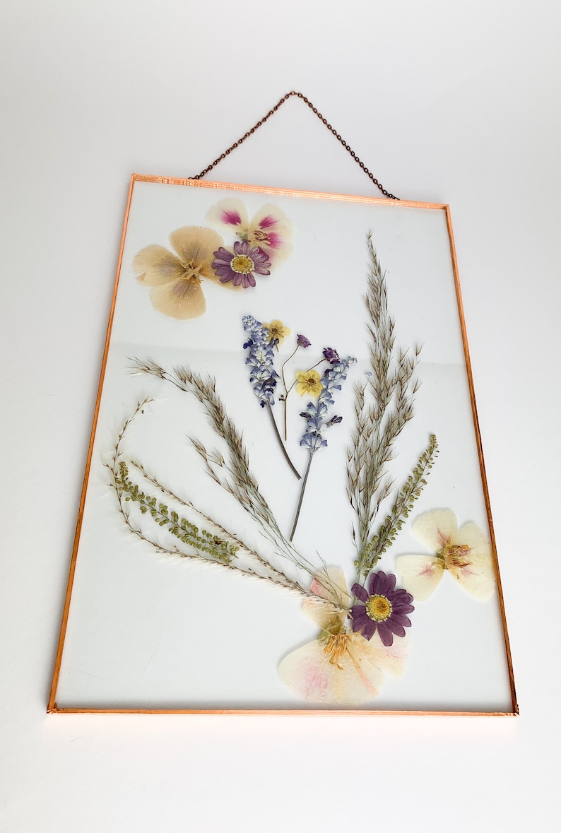 Gepresste Blumen Bilderrahmen Herbarium Trockenblumen