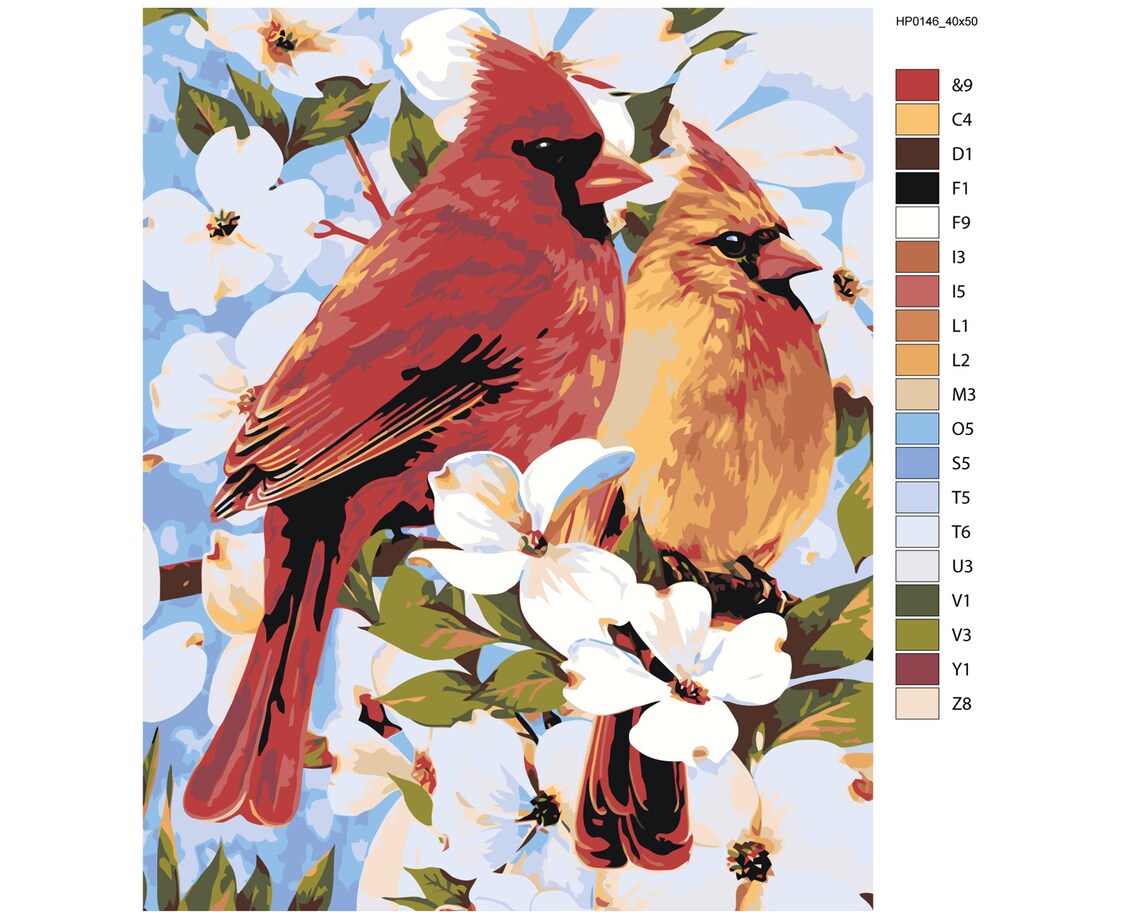 Birds Oil Painting For Adults Paint By Numbers DIY Kit Spring Etsy