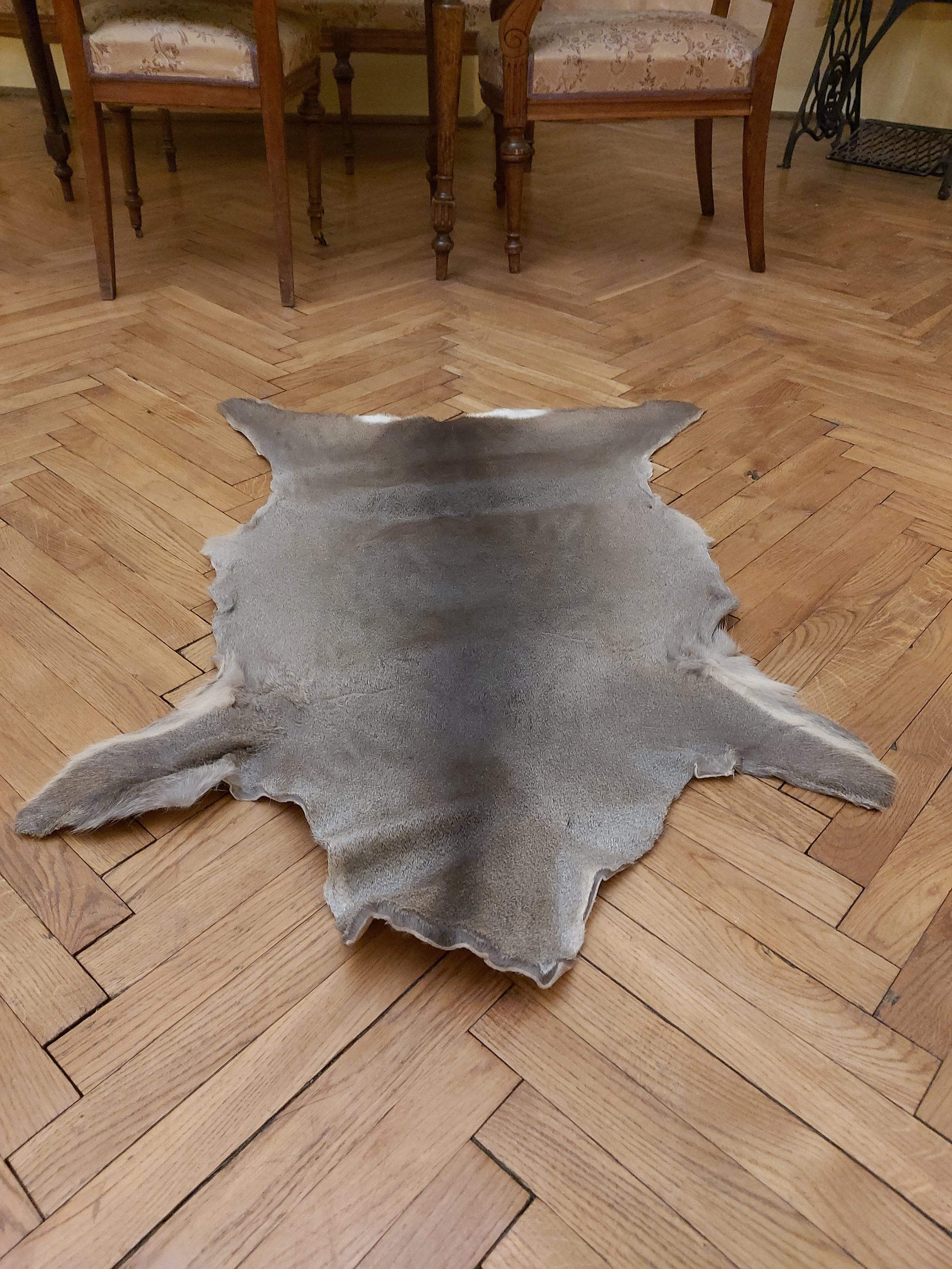 Large roe buck deerskin hide area rug luxury living room Etsy
