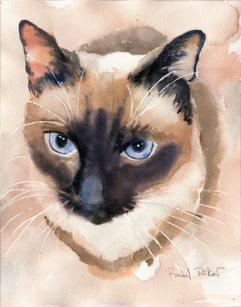 Print Applehead Siamese Cat Art Print of a watercolor Painting | Etsy