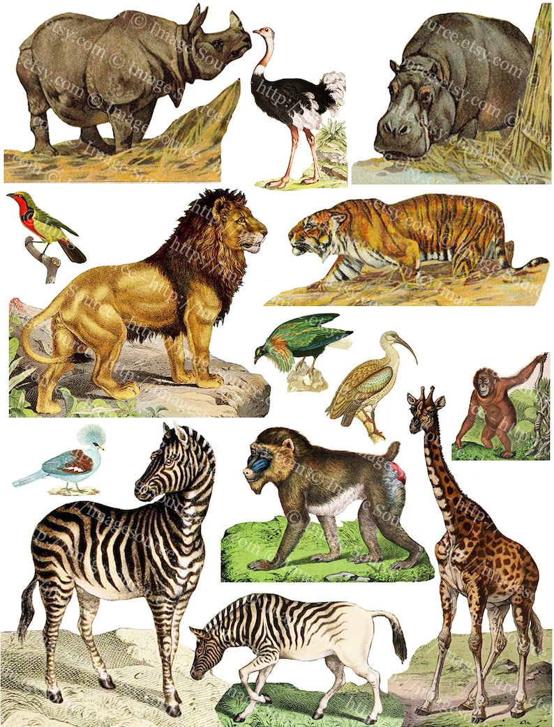 African Safari Animals Printable Set of 5 Jungle Animals Etsy