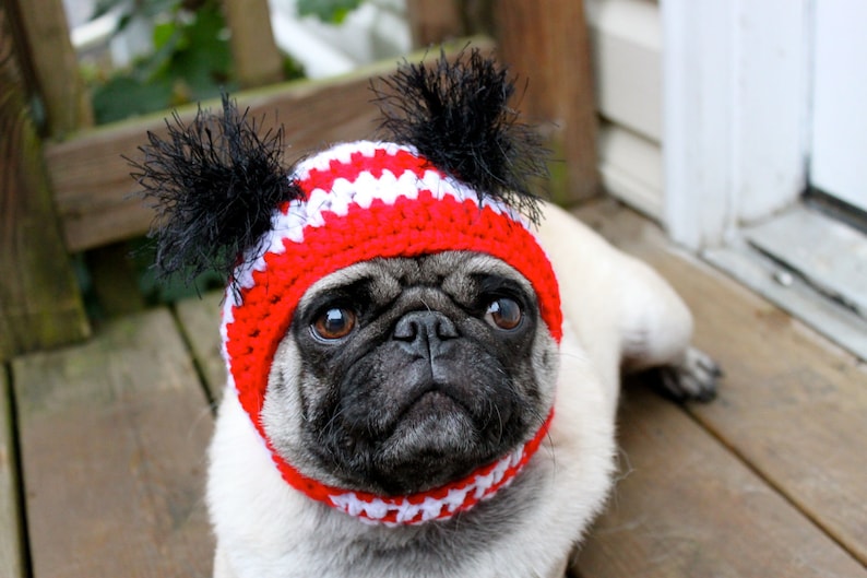 Sports Team Dog Hat/Made to Order Etsy
