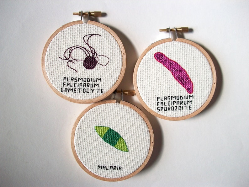 Biology cross stitch Malaria microbe germ cross stitch | Etsy