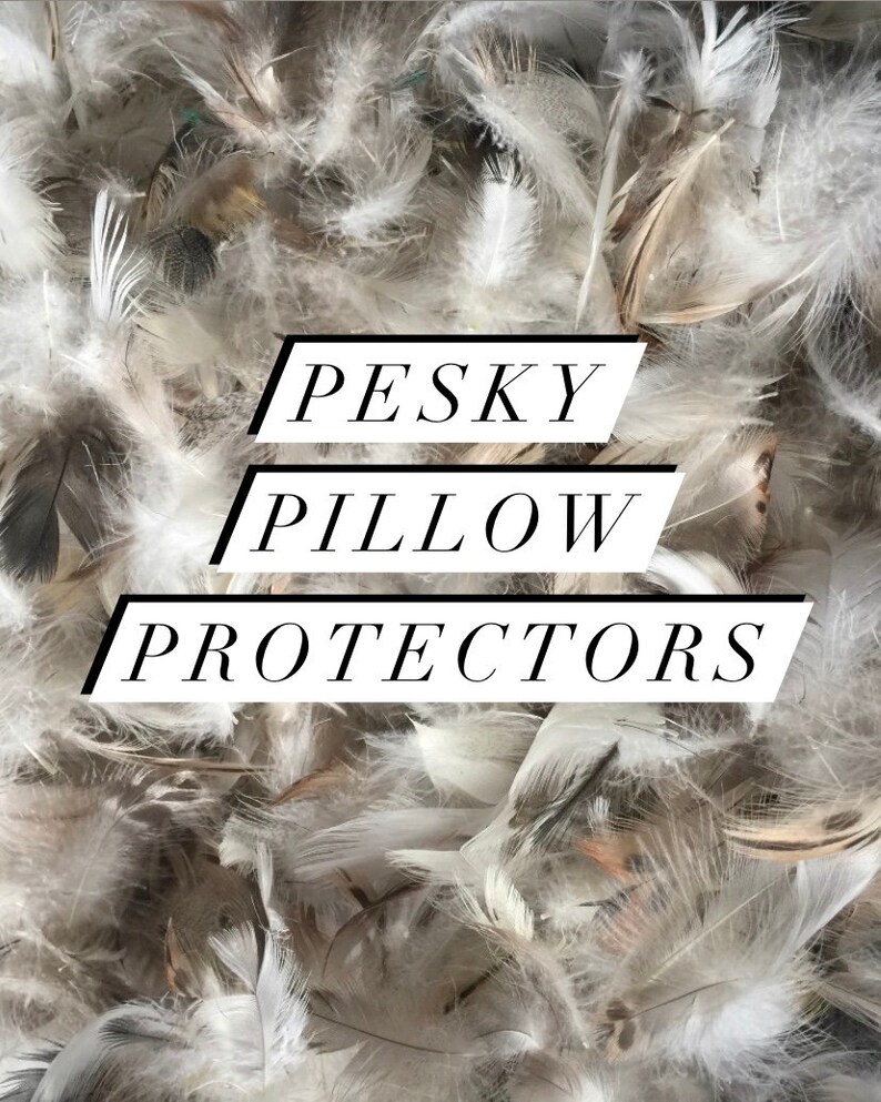 Pesky down feather pillow andor cushion protectors with zipper enclosures