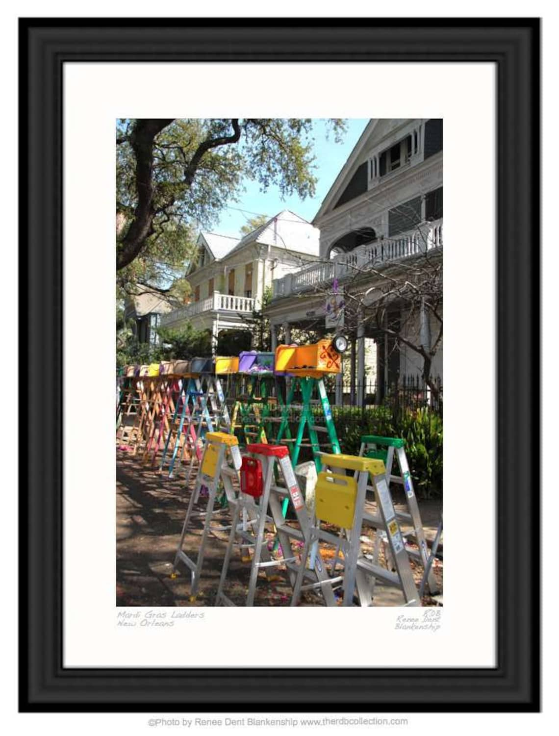 mardi gras ladders