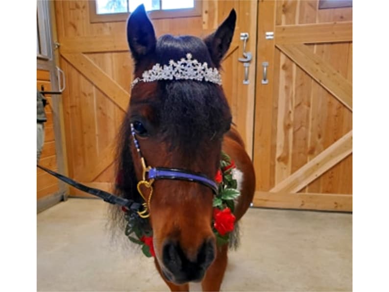 Small Pearls and Roses Tiara Browband for Miniature Horses and Etsy