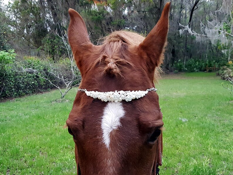 Small Pearls and Roses Tiara Browband for Miniature Horses and Etsy