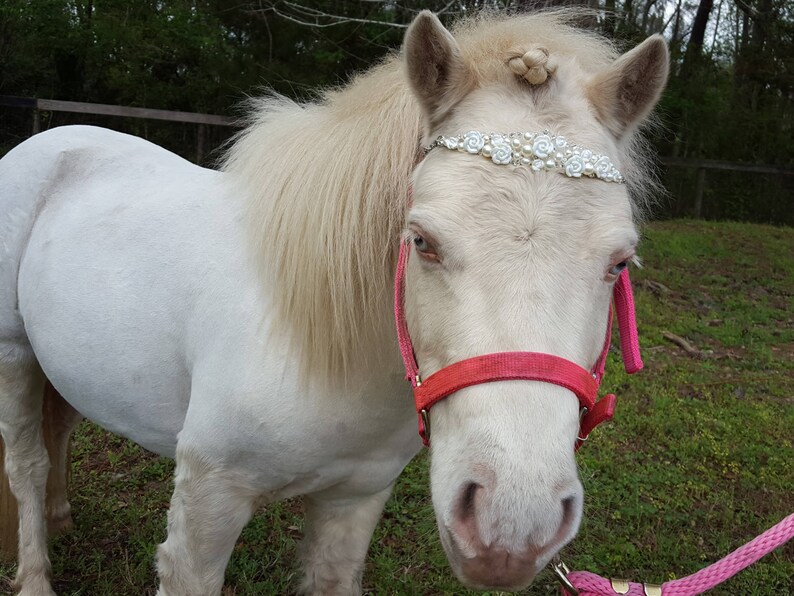 Small Pearls and Roses Tiara Browband for Miniature Horses and Etsy