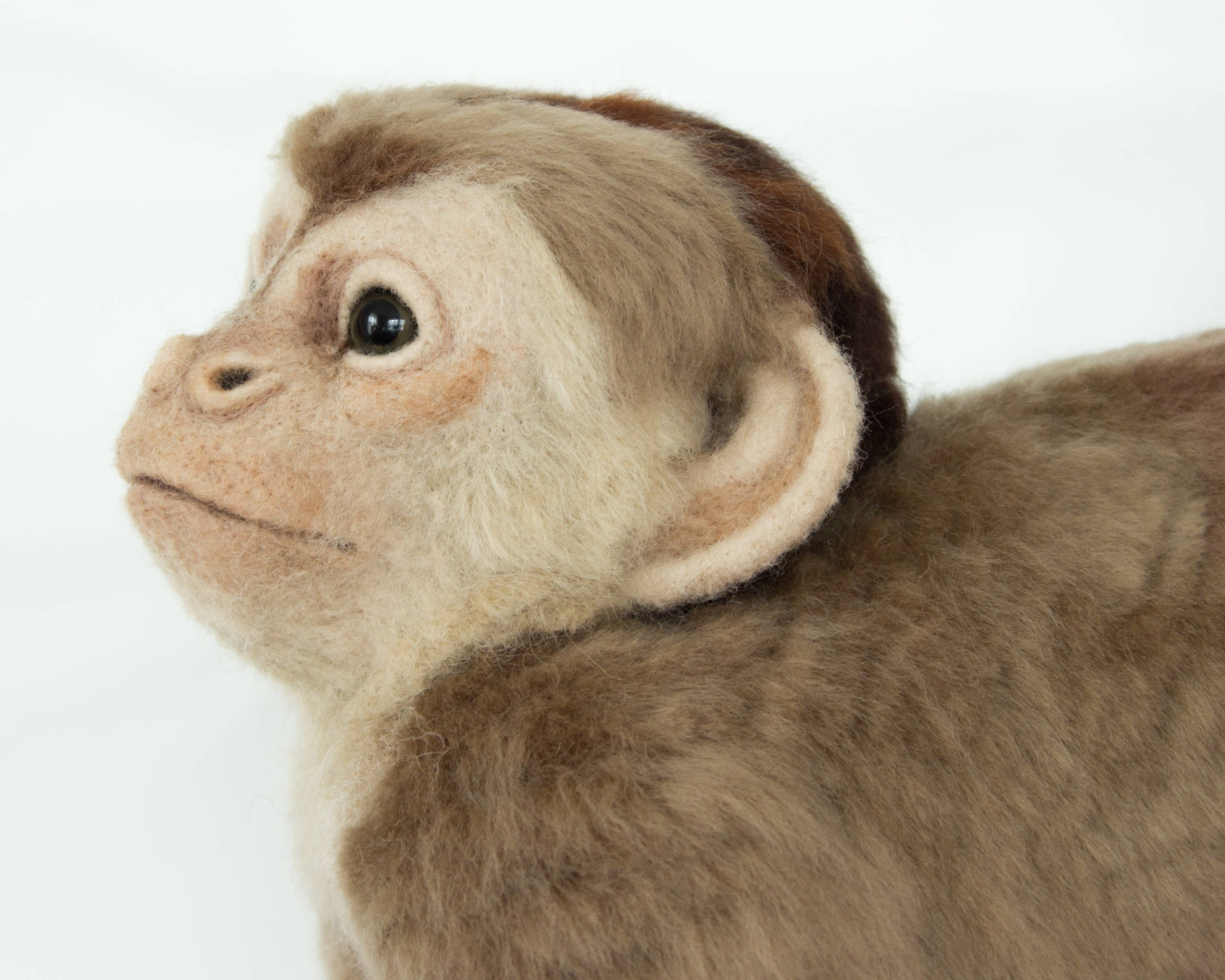 Made to Order Life-Sized Needle Felted Capuchin Monkey: Custom | Etsy