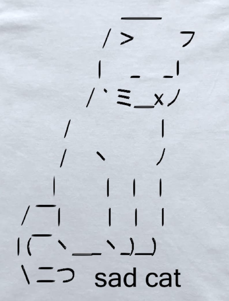 ASCII Art Sad Cat