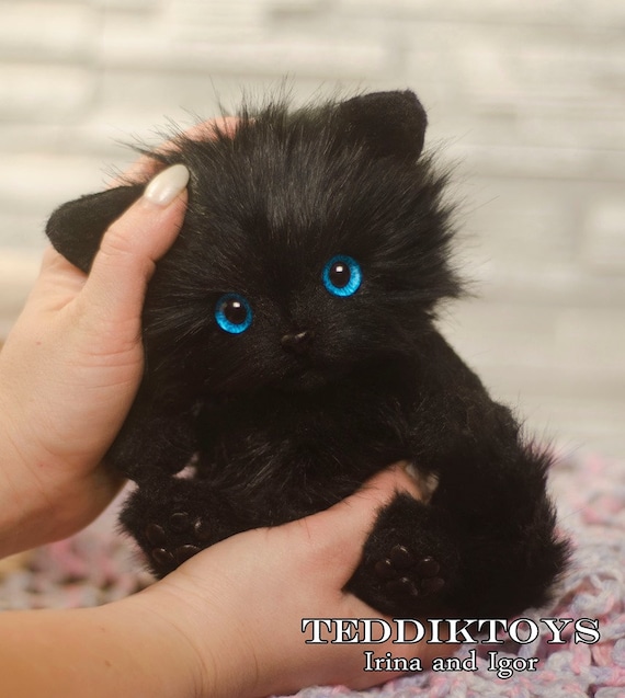 black cat teddy