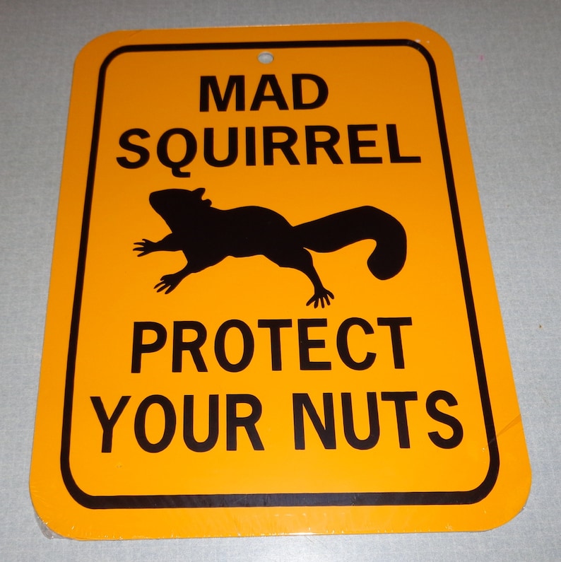 Mad Squirrel Protect Your Nuts Funny Squirrel Sign 6x8 inch Etsy