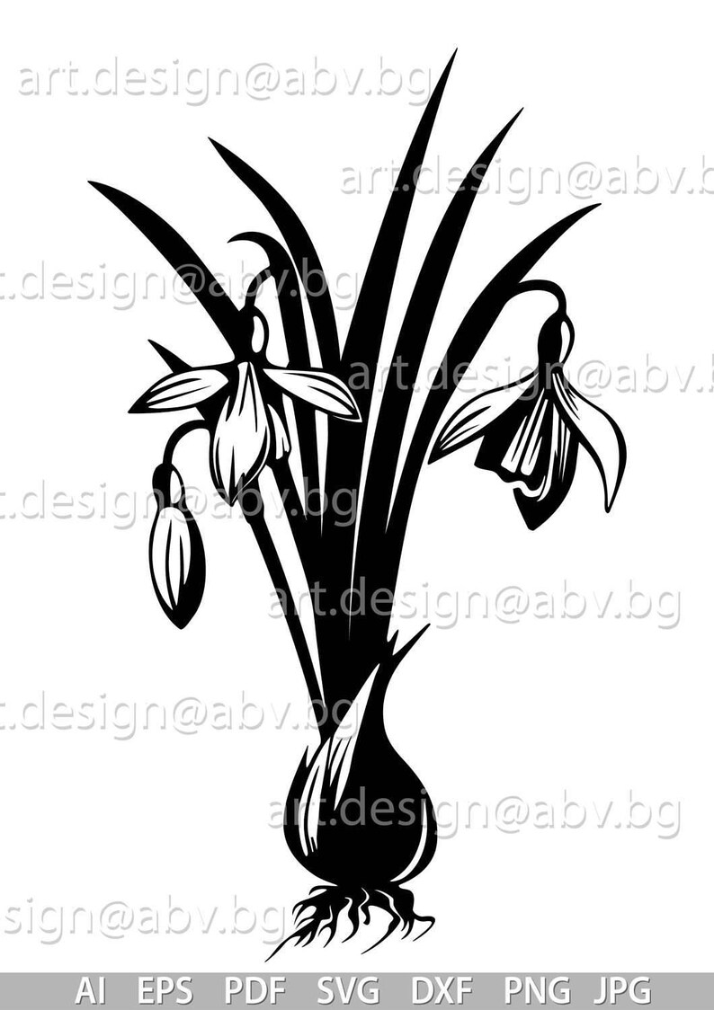 Download Vector SNOWDROPS AI eps pdf svg png dxf jpg Download | Etsy